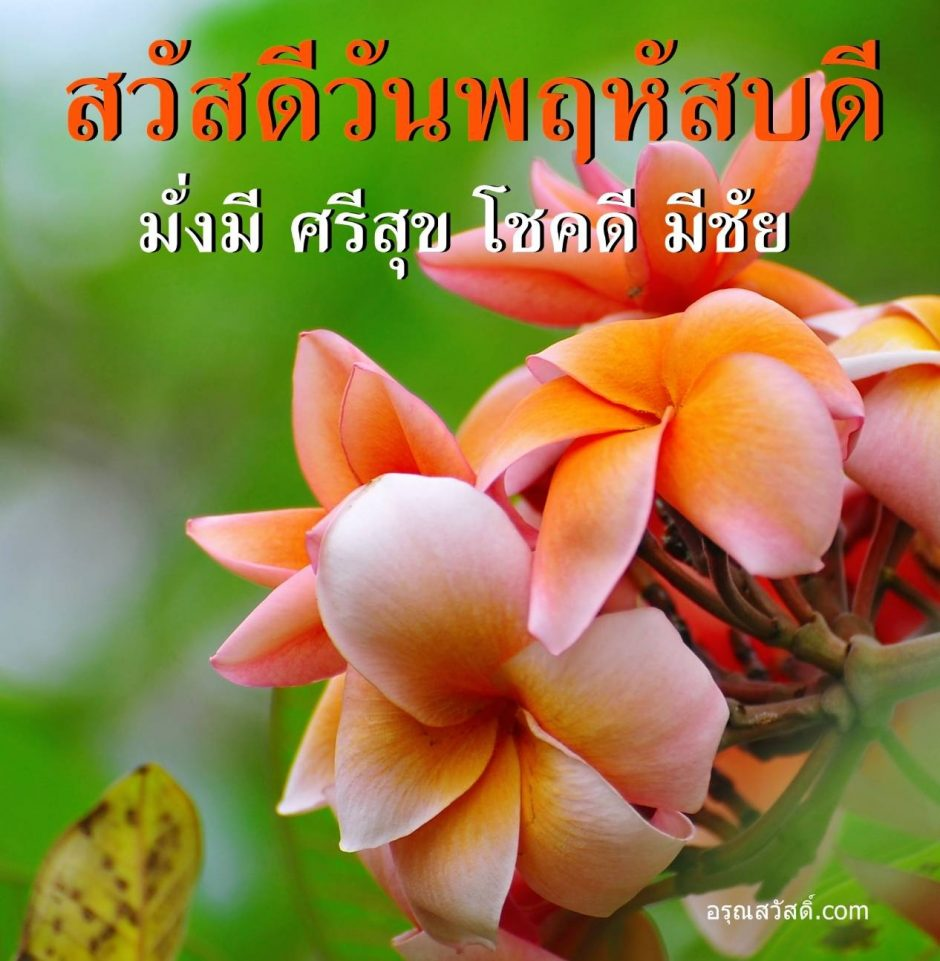 วันพฤหัสบดี