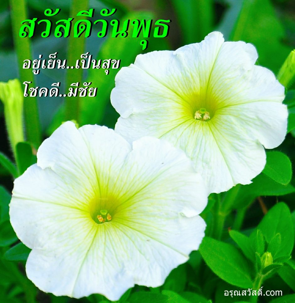 วันพุธ