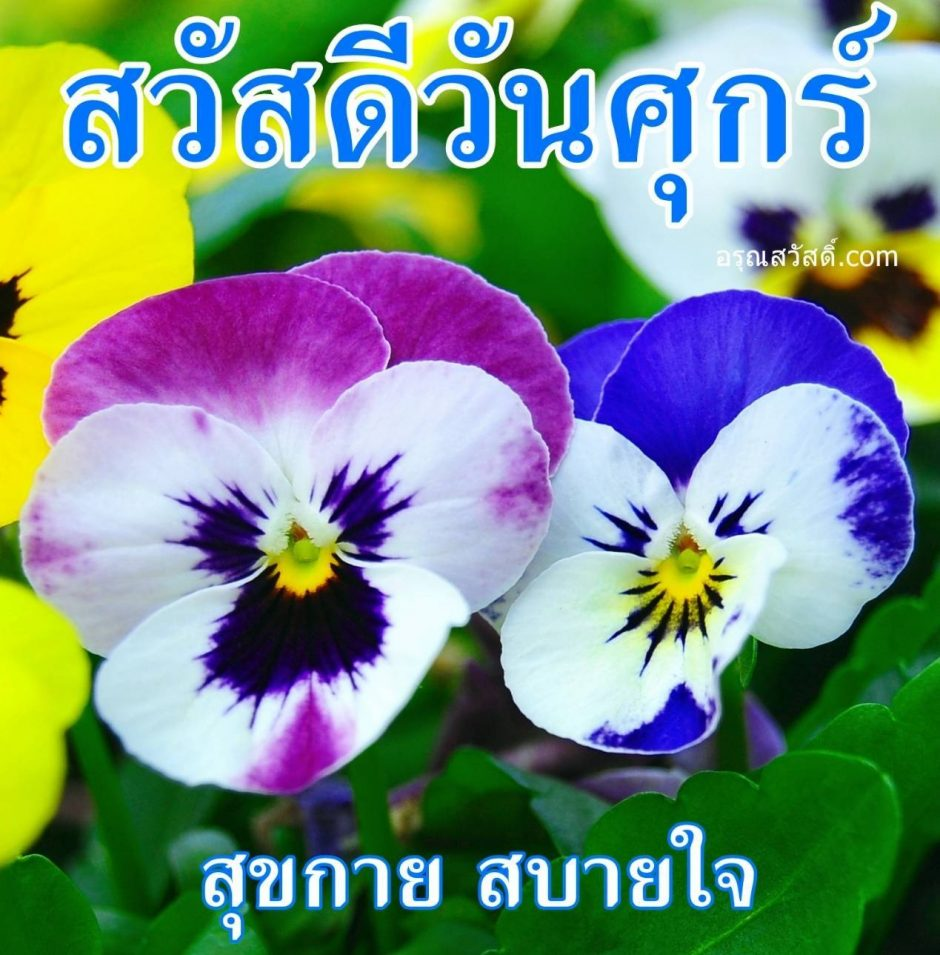 วันศุกร์
