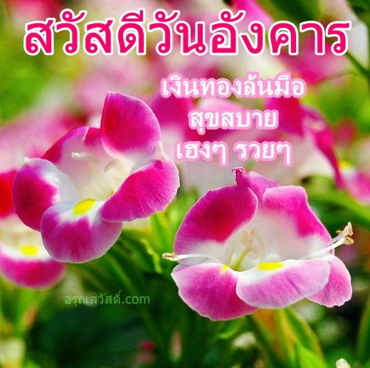 วันอังคาร