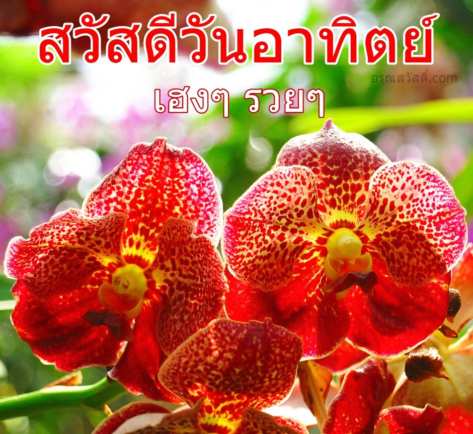 วันอาทิตย์