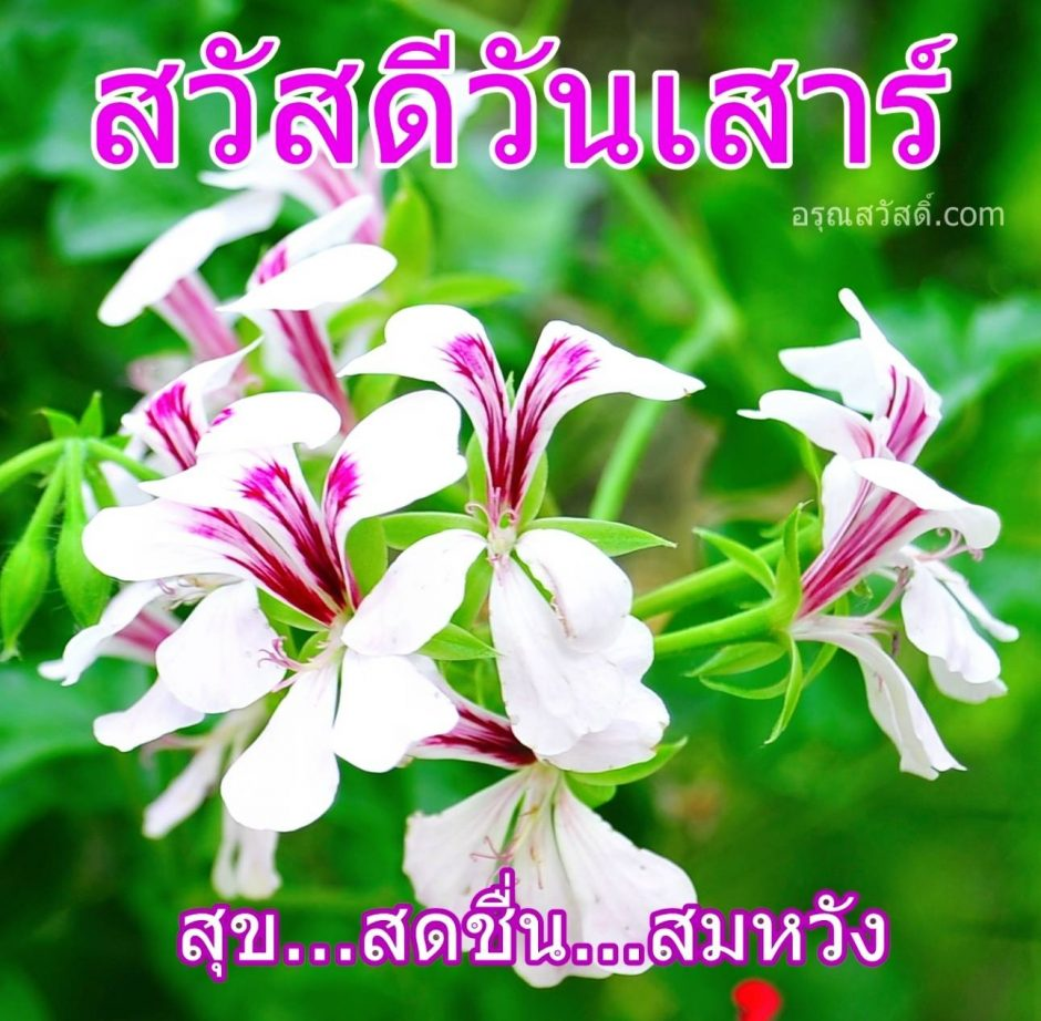 วันเสาร์