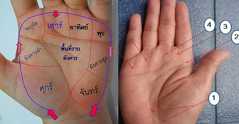 เส้นลายมือประจำวัน