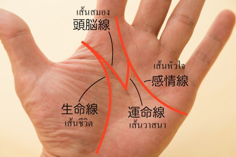 ลายมือมีโชคลาภ