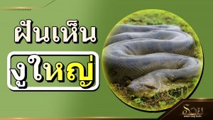 ฝันเห็นงูใหญ่