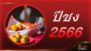 ปีชง 2566