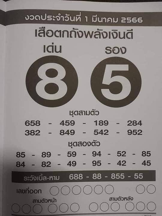 เสือตกถัง1/3/66