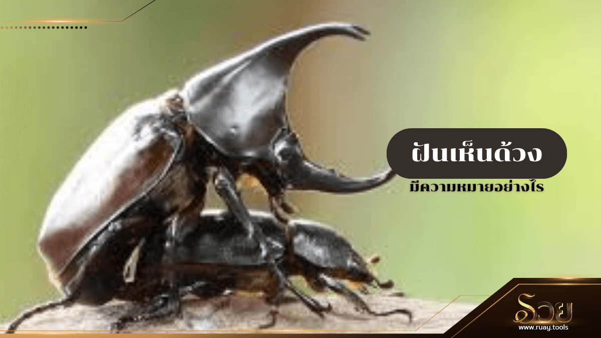 ฝันเห็นด้วง