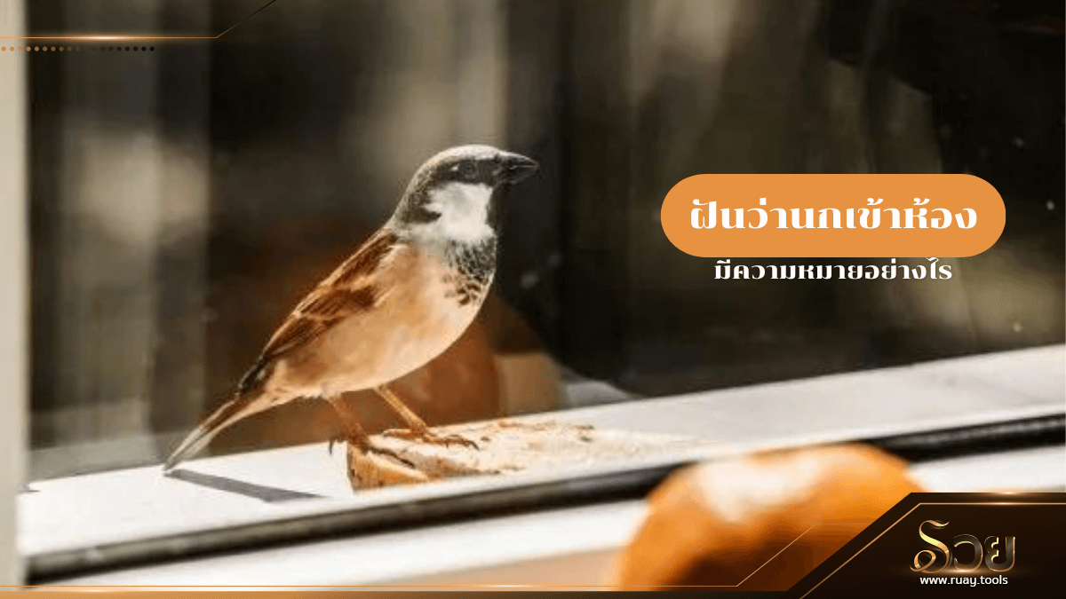 ฝันว่านกเข้าห้อง