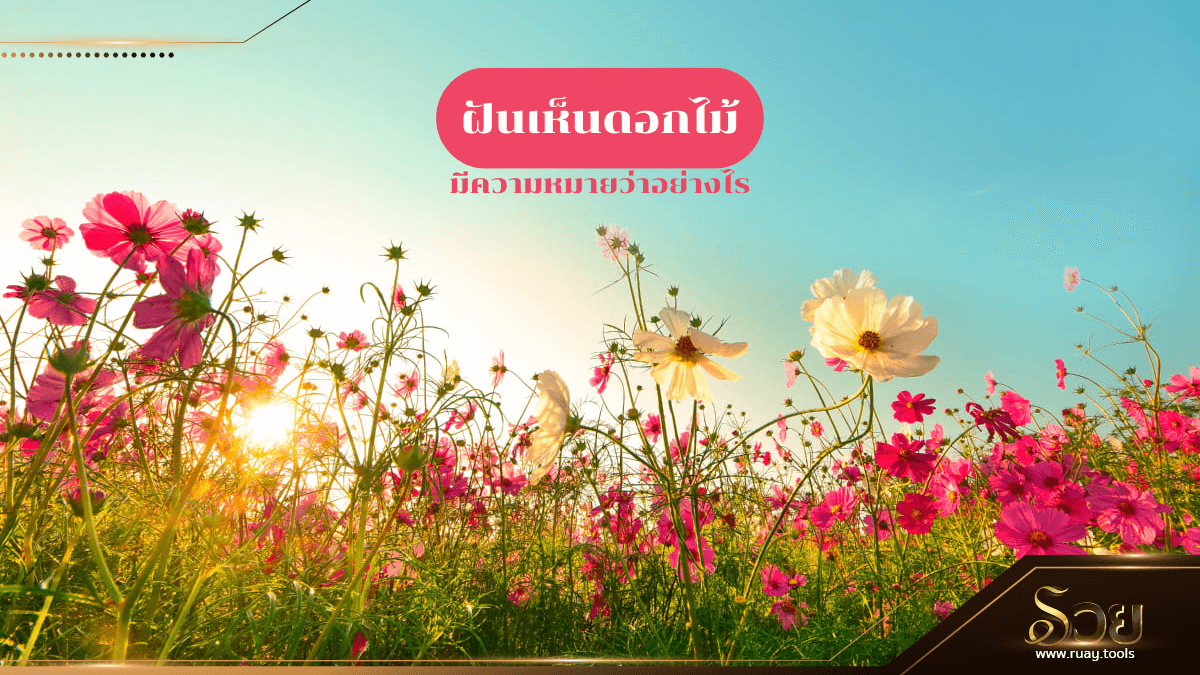 ฝันเห็นดอกไม้