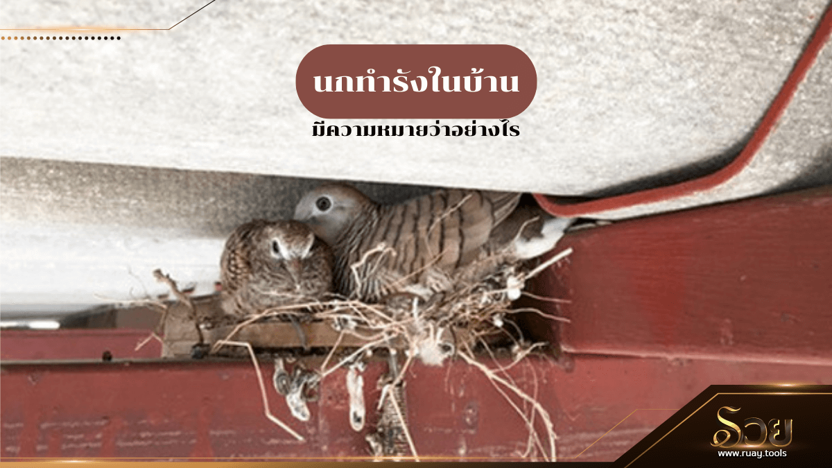 นกทำรังในบ้าน