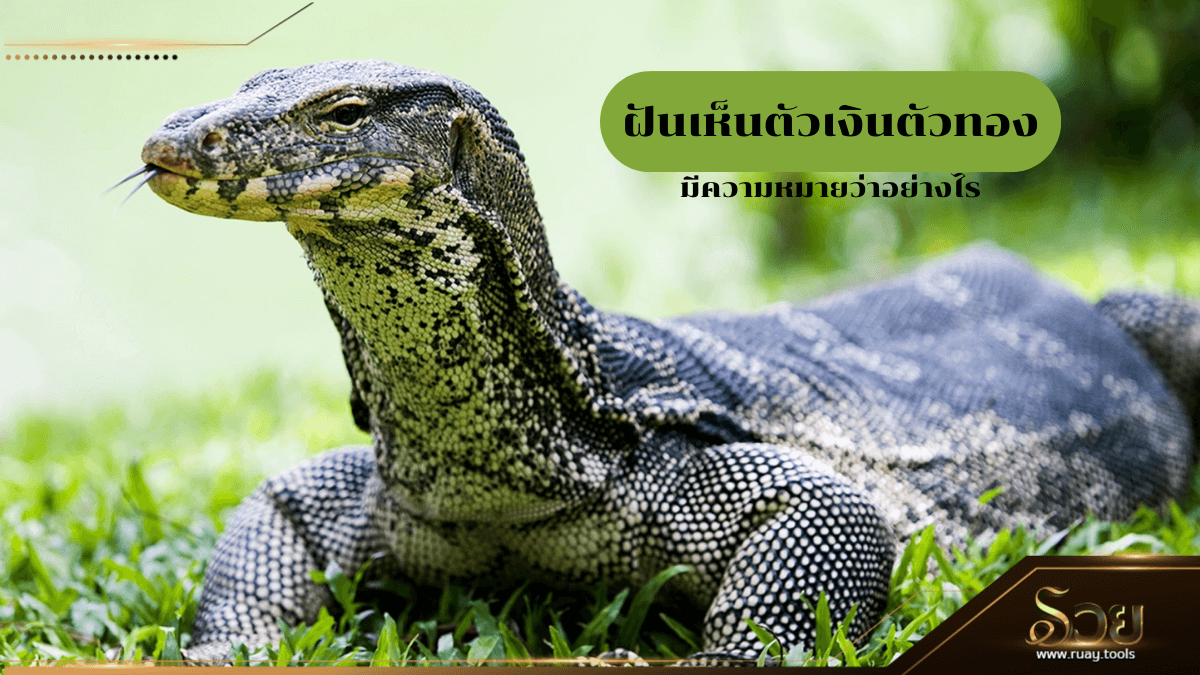 ฝันเห็นตัวเงินตัวทอง